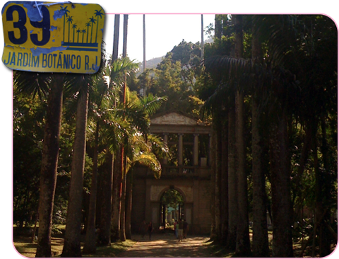 NamaskarYoga-Jardim Botânico do Rio de Janeiro