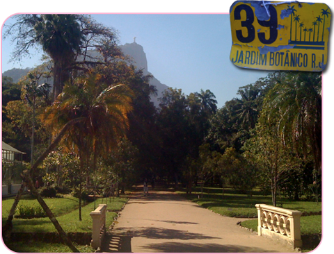 NamaskarYoga-Jardim Botânico do Rio de Janeiro